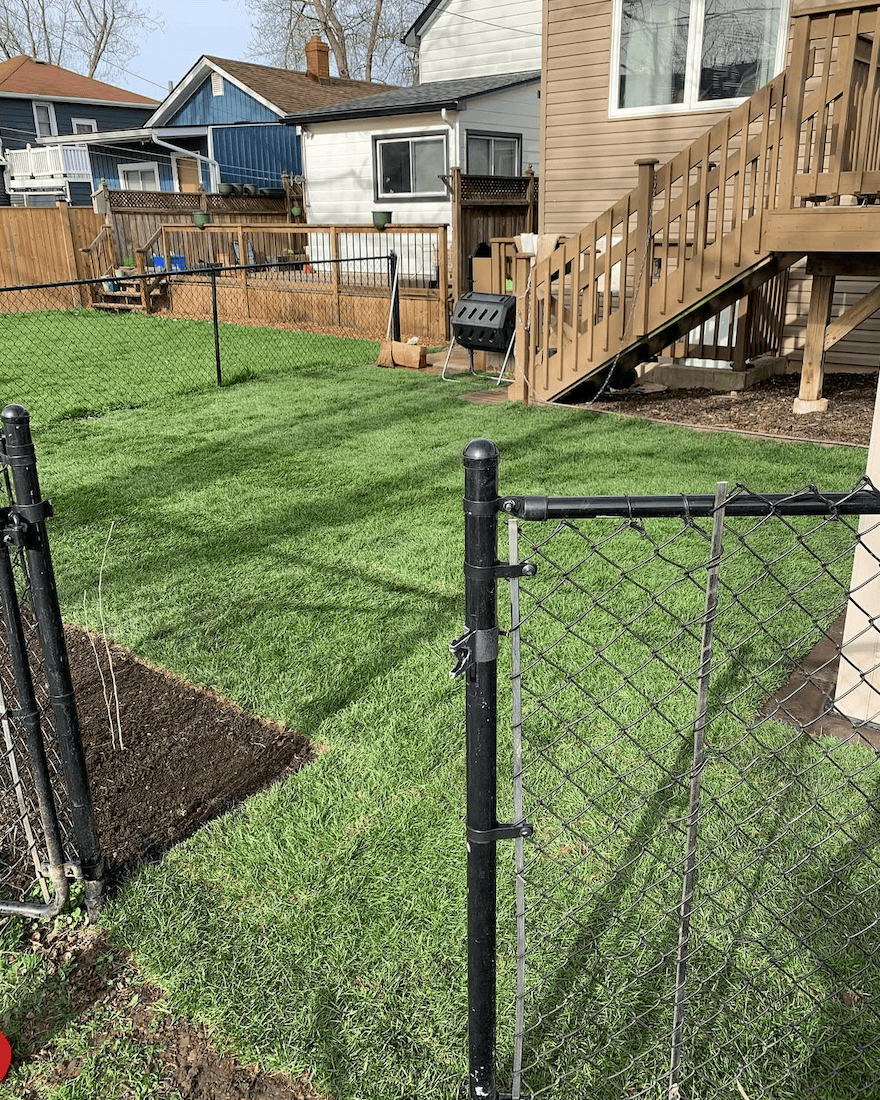 Screenshot 2025-06-15 at 3.21.44 PM